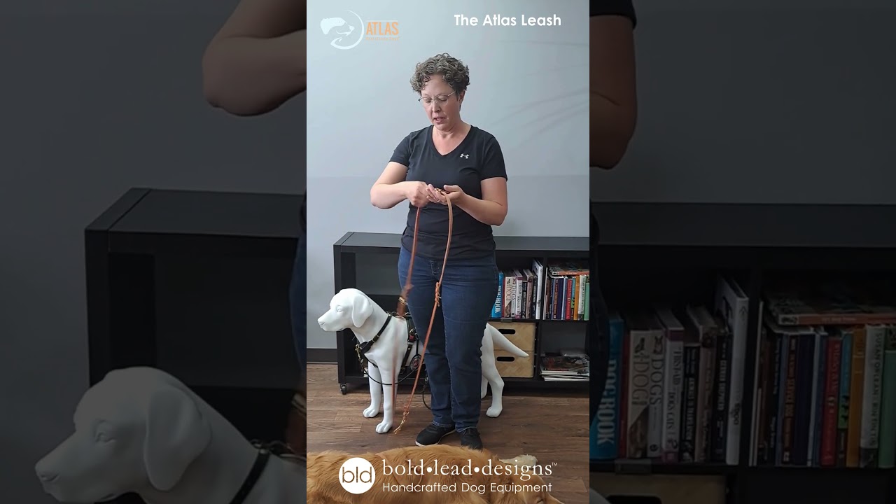 The Atlas Leash by BLD is the most versatile multifunctional leash ever made
