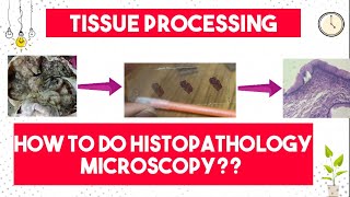 Tissue Processing | How to do Histopathology Light Microscopy? | 9 Steps of Tissue Processing |