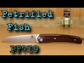 Petrified Fish PF719. Распаковка и обзор.