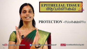 KITE VICTERS STD 08 Biology Class 05 (First Bell-ഫസ്റ്റ് ബെല്‍)