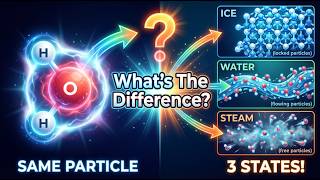 Celebrity Solids vs Liquids vs Gases: What Makes Them SO Different? Wealth