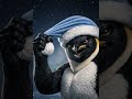 The Secret Behind Muscular Emperor Penguin's Hat. #shorts #ai #funny #penguin