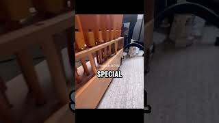 This Kid Built a Real Pipe Organ Piano in His Living Room! 😱 #shortsfeed #shorts #viral