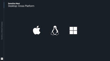Overview GeneXus Next Desktop