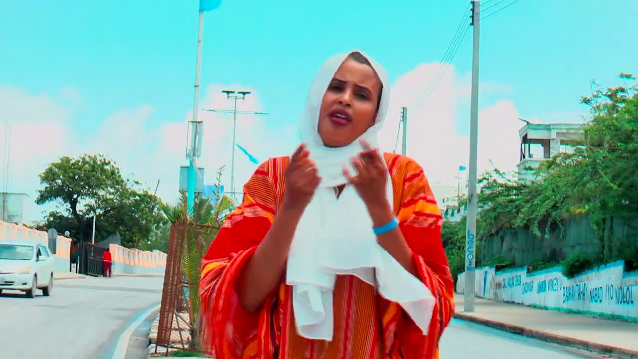 HEESTII ISKU TIIRSANAADOO KA TASHADA CADAAWAHA IYO XAAWO DAGAN  2020