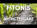 Антистресант із стимулюючим ефектом Fitonis ENZIM Agro