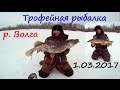 Трофейная щука на жерлицы. Чебоксарское водохранилище. 1.03.2017