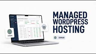 Reseller Hosting Domains Explained Start Your Web Hosting Business