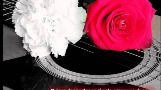 UNA ROSA Y UN CLAVEL - XELENCIA chords