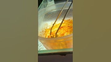 cho cá rồng ăn tép