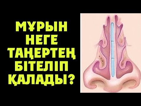 Бейне: Мұрынды не бітеп тастайды?