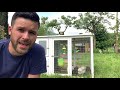 Sono entrati al podere e hanno liberato le galline: ecco quello che Ã¨ successo