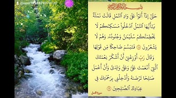 سورة النمل ــ آية 18 ـ 19