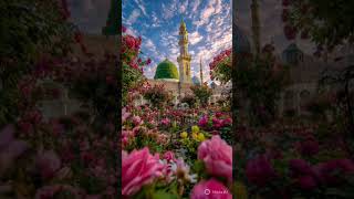 ALLAH ho ALLAH #Islamic #seam #praise #Allah #MUHAMMAD
