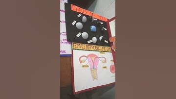 science teaching learning material #science #teaching_aid #interactive #creativeideas #ncert