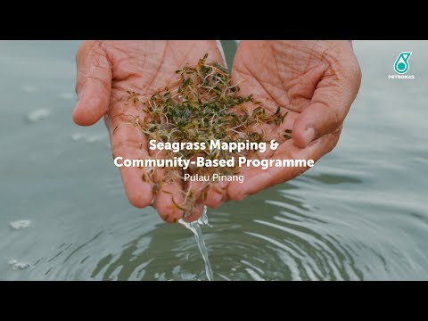 PETRONAS Seagrass Mapping & Community-Based Programme | Part 2: Pulau Pinang