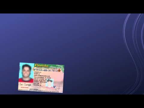 traffic-ticket-florida:-what-to-do-if-you-get-a-traffic-ticket-in-florida