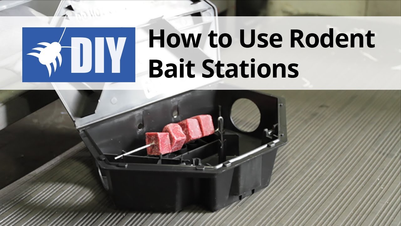Rat Bait Station Rodent Bait Station with Key Eliminates Rats and Mice Fast Keeps Children and Pets Safe 1 Pack 