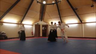2nd form kata (katata kosadori gyaku hanmi) - Ashley