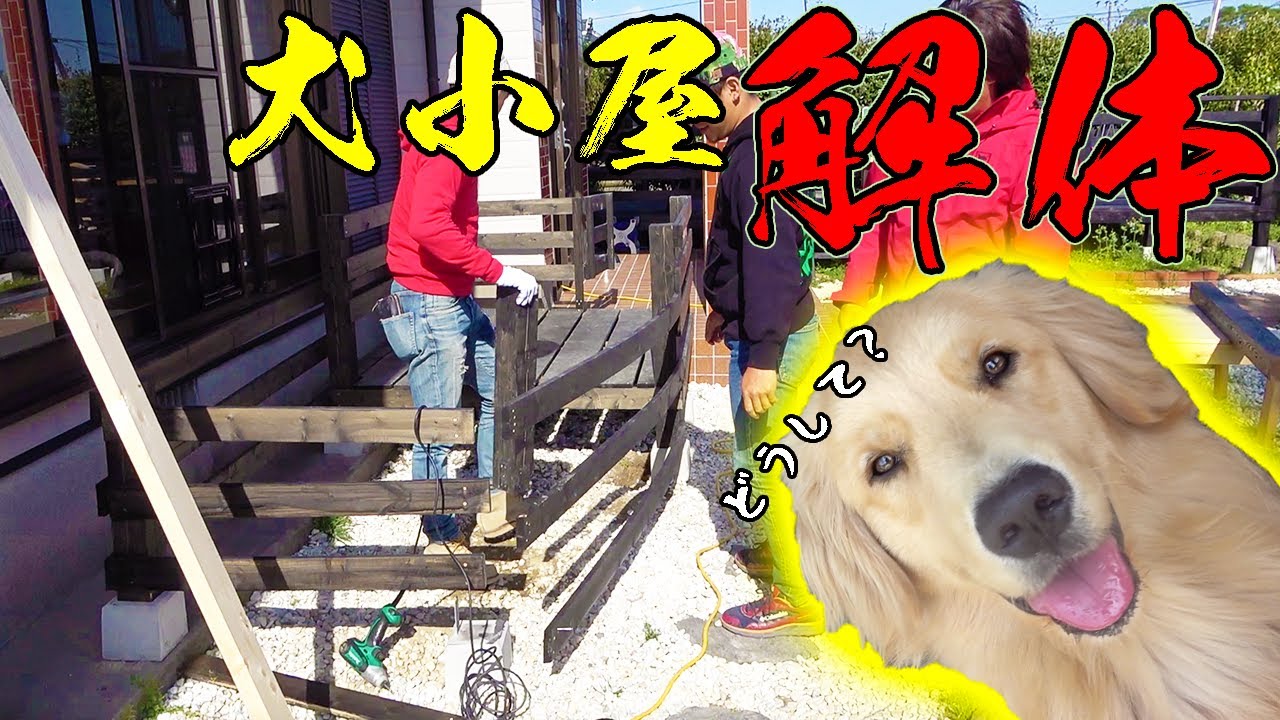 せっかくできた犬小屋を解体！？何故？？ - YouTube