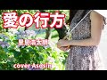 『愛の行方』里見浩太朗さん/cover麻生新