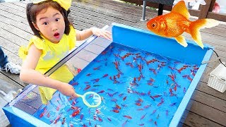 보람이의 핑크퐁 아기상어 낚시놀이 물고기 잡기 Catch Real Fish with Pinkfong Fishing Toys
