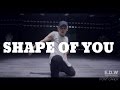 Shape of you - Ed Sheeran // Choreography by RIKIMARU in Shanghai