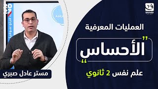 تانية ثانوي علم نفس | الترم التاني | الأحساس | مستر عادل صبري