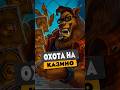 В WOW ОТКРЫЛИ КАЗИНО И ИГРОКИ НАЧАЛИ НА НЕГО ОХОТУ! MIDNIGHT НОВОСТИ WOW 12.0.5 WORLD OF WARCRAFT