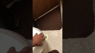 Ship's Log - Day 15 #flounder #shorts #funny #travel #alaska #memes