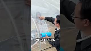 Steal Veg Prank Fail