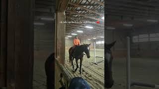 Pips #horse #equestrianjourney #horseenthusiast #equestrian #rideforpiper
