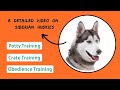 How to Train a Siberian Husky - (Obedience, Potty &amp; Crate Training)