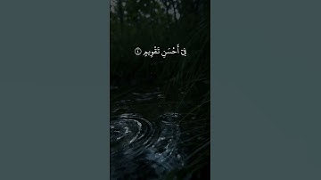 سورة التين القارئ سعد الغامـدي