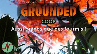 Comment survivre quand on est minuscule ?! Grounded Fr Coop Ep01 #gameplayfr #gaming #grounded