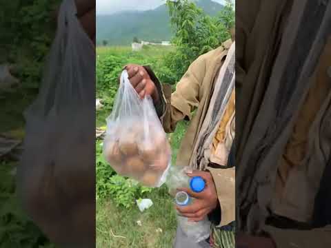 Harsha Sai foryou first video #Harshasaiforyou