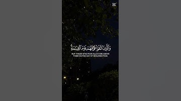 اكتب شيء تؤجر عليه ❤🎧😴 #صوت_جميل #تلاوة_خاشعة #المصحف #اكسبلور #قرآن #لايك #راحة_نفسية