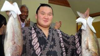白鵬が4場所連続優勝 連勝記録「61」に伸ばす - YouTube