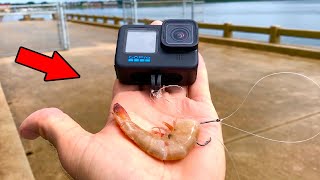 I Tied Bait to My GoPro and Dropped it Under the Pier! **Crazy Finds**