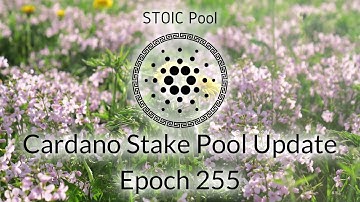 STOIC Pool Update: Epoch 255 - Block Schedule, Plutus Pioneers & (Almost) 1K