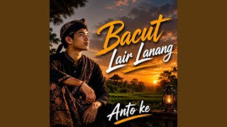 Bacut lair lanang