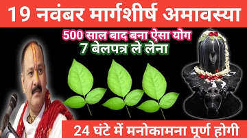 19 नवंबर मार्गशीर्ष बुधवार अमावस्या के दिन 7 बेलपत्र वाला उपाय जरूर करें।Pradeep mishra ji ke upay 