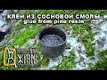 КЛЕЙ ИЗ СОСНОВОЙ СМОЛЫ Primitive life