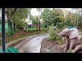 Jungle Rangers @ Chessington World of Adventures | 4K On Ride POV