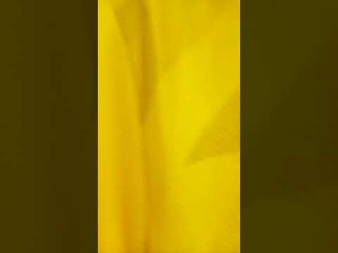 تيشرت الاسماعيلي