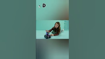 Wonder workshop dash coding robot 2022 #shorts #robots #ai