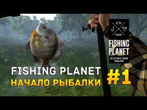 Vídeo: Com Atraure La Pesca A Fishing Planet: On Comprar I Com Utilitzar-lo