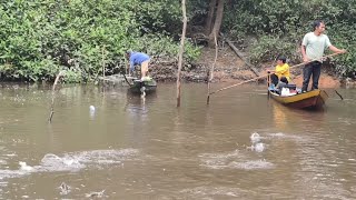 TERLIHAT KAWAN IKAN MEMASUKI SUNGAI KECIL DAN MEN CEK LANGIT LANGIT IKAN BIAWAN