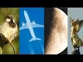 NIKON Coolpix P900 Optical Zoom Test - Moon, Planes, Bird, Church - Super Zoom