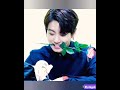 Jungkook with rose jk statusshortsbts